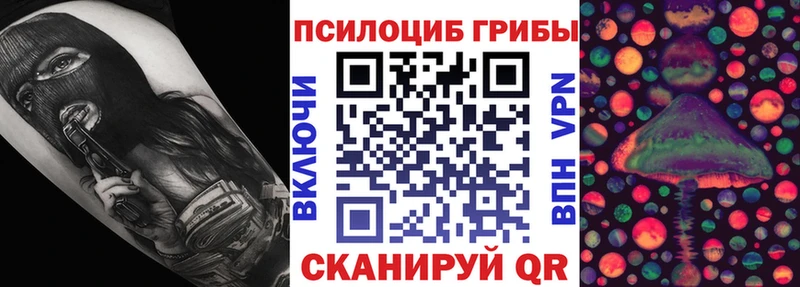 Купить закладки  Данков  Псилоцибиновые грибы прущие грибы 